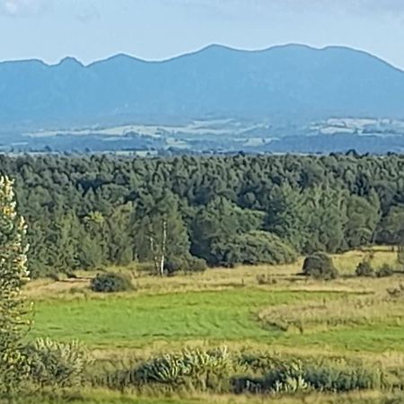 Agroturystyka Pokoje U Zosi Odrowaz Экстерьер фото